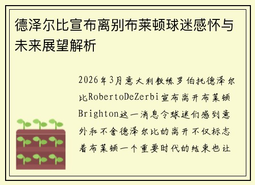 德泽尔比宣布离别布莱顿球迷感怀与未来展望解析